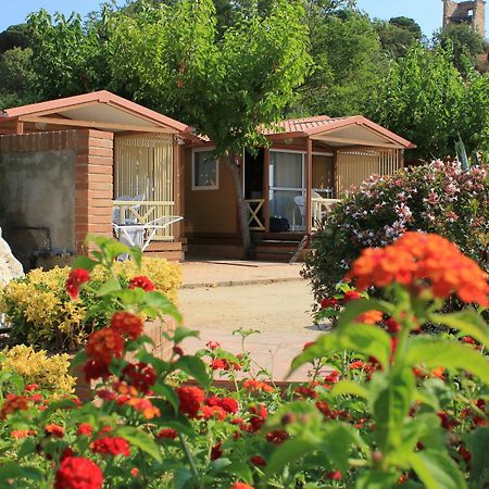 Camping Roca Grossa Calella Buitenkant foto