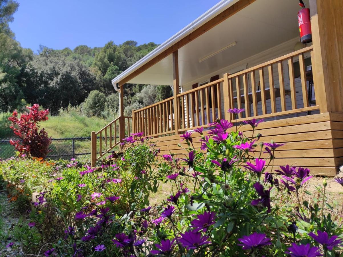 Camping Roca Grossa Calella Buitenkant foto