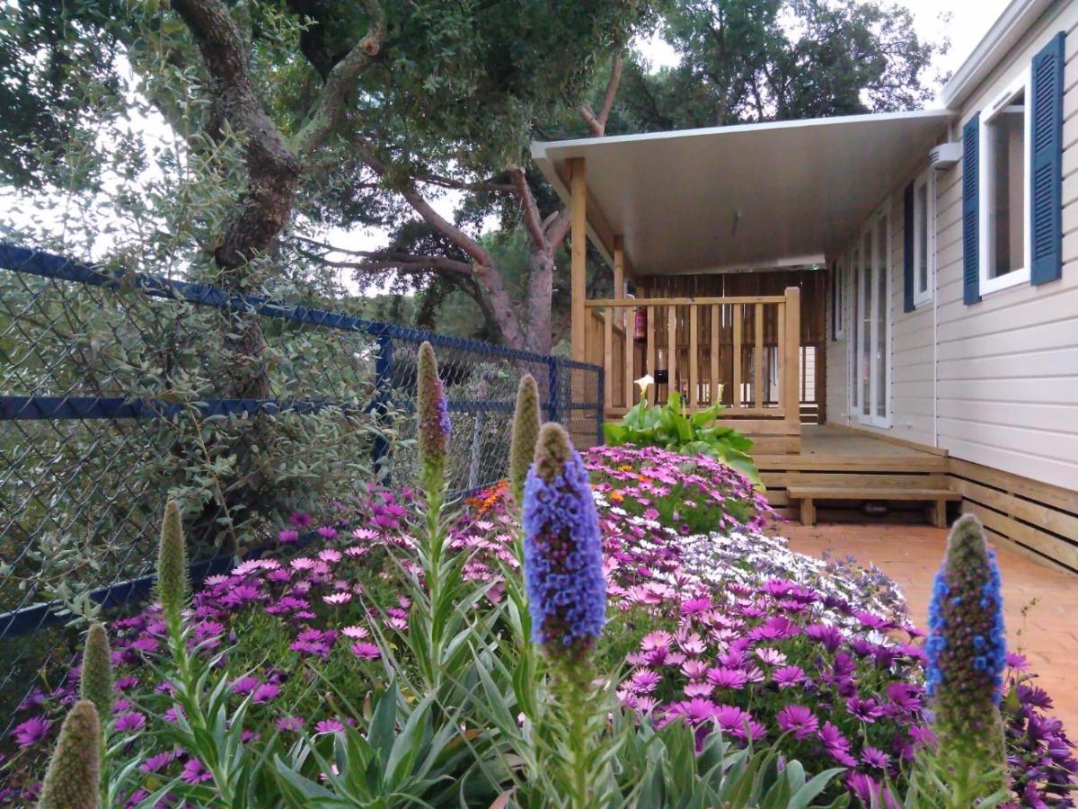 Camping Roca Grossa Calella Buitenkant foto