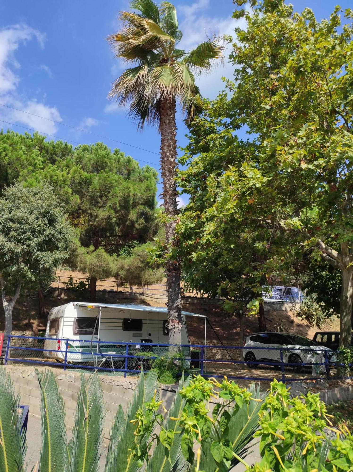 Camping Roca Grossa Calella Buitenkant foto