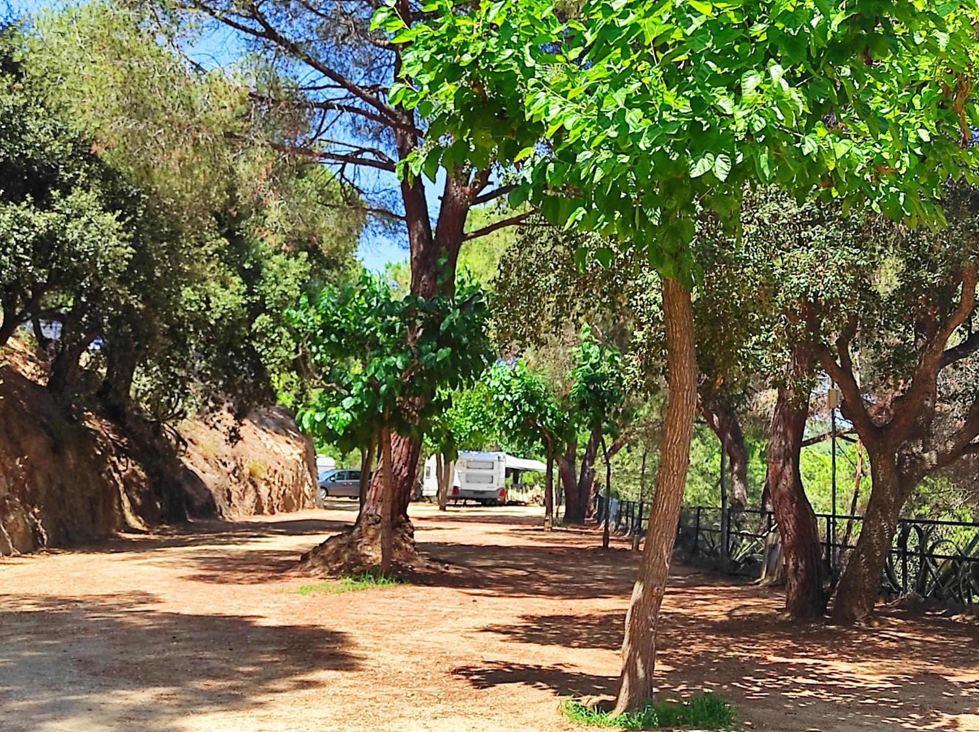Camping Roca Grossa Calella Buitenkant foto