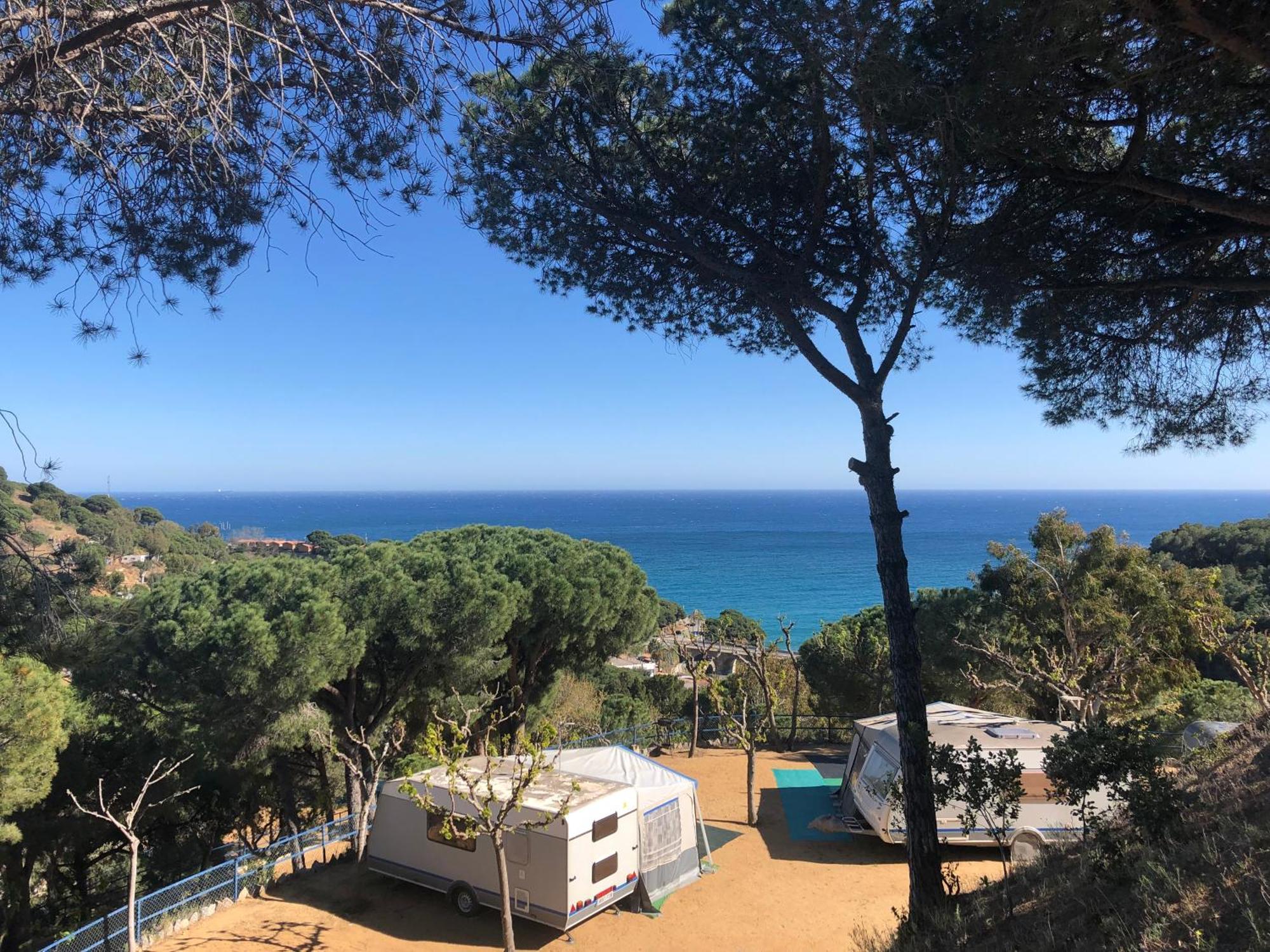 Camping Roca Grossa Calella Buitenkant foto