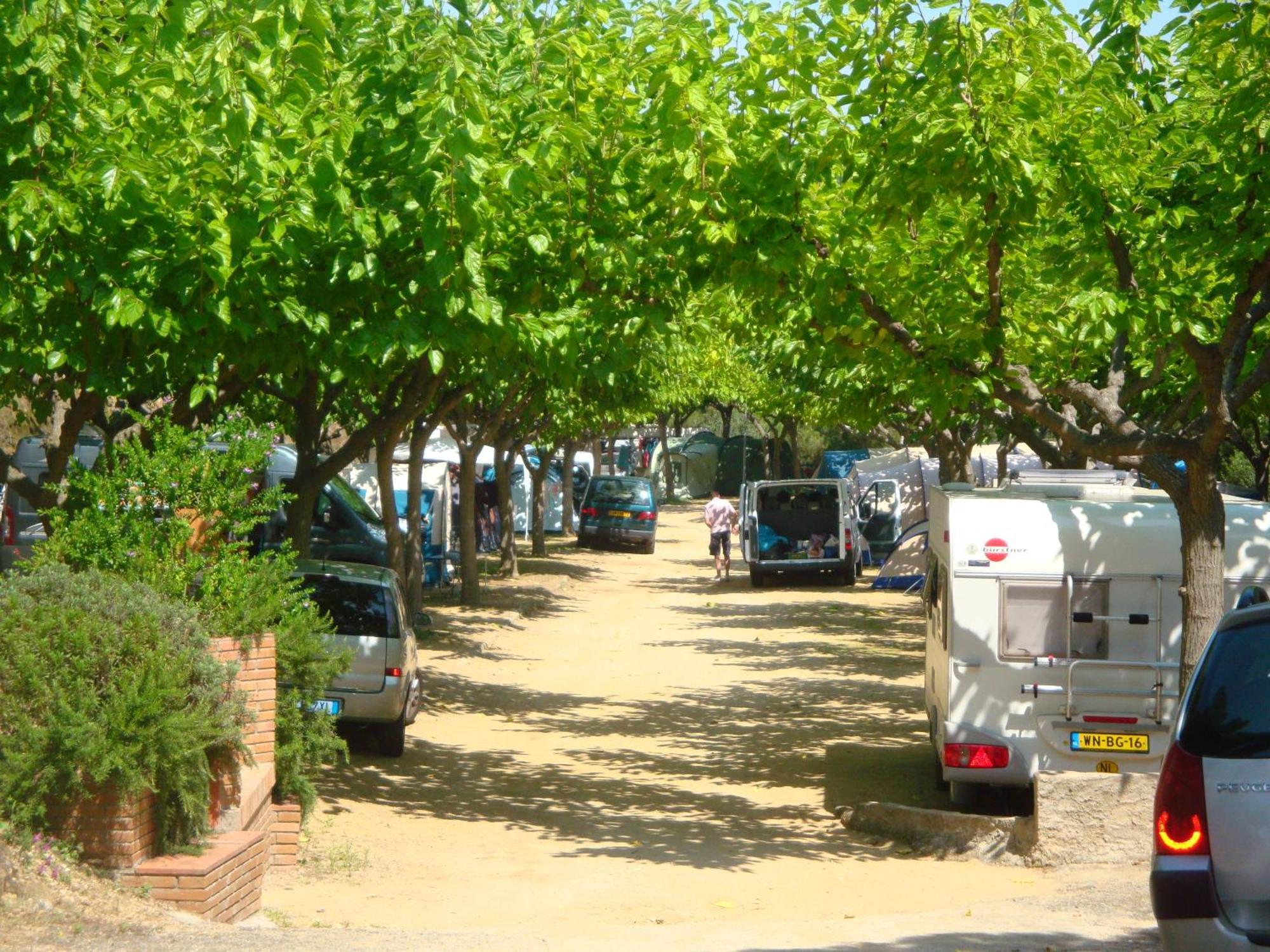 Camping Roca Grossa Calella Buitenkant foto