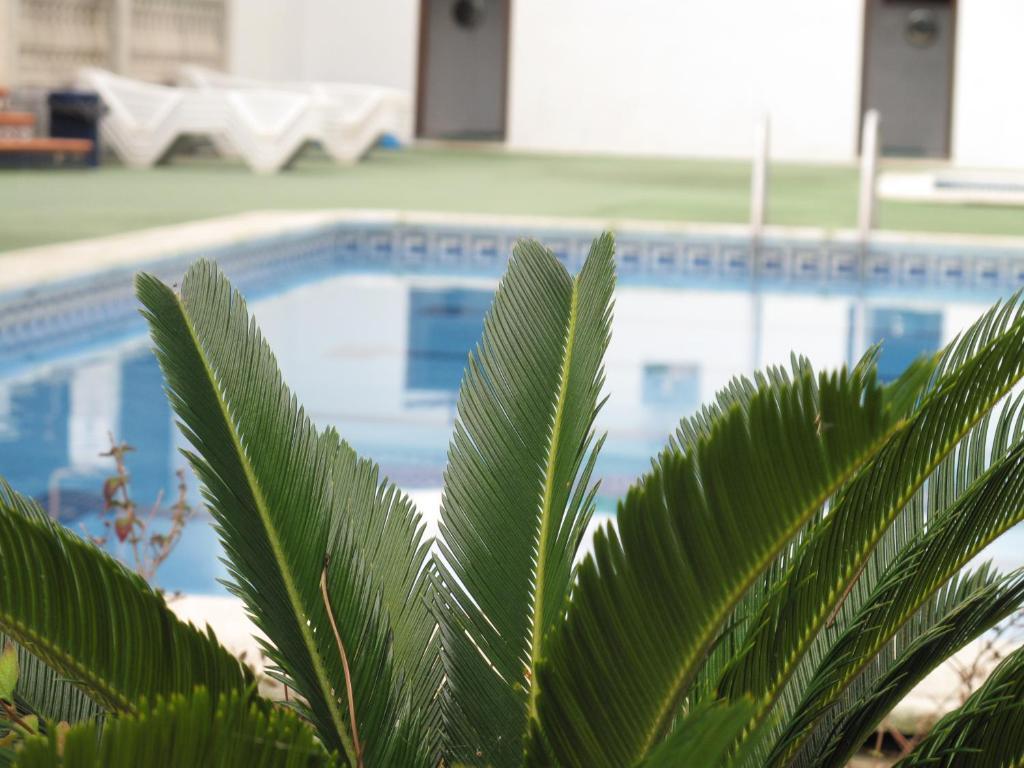 Camping Roca Grossa Calella Buitenkant foto