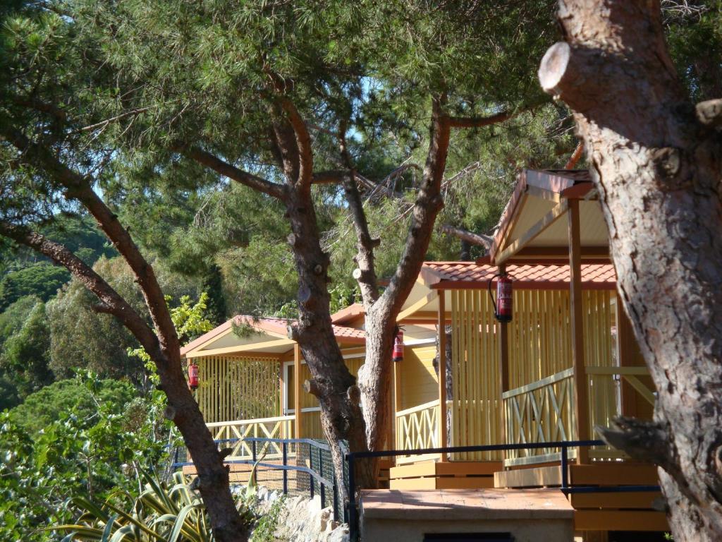 Camping Roca Grossa Calella Buitenkant foto