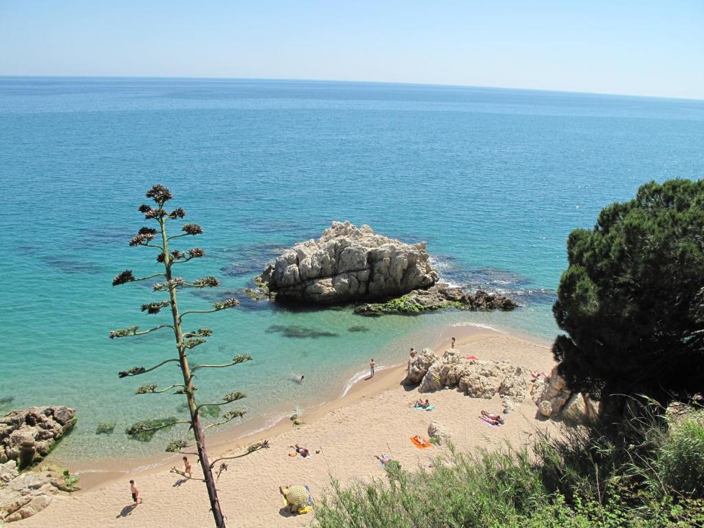 Camping Roca Grossa Calella Buitenkant foto