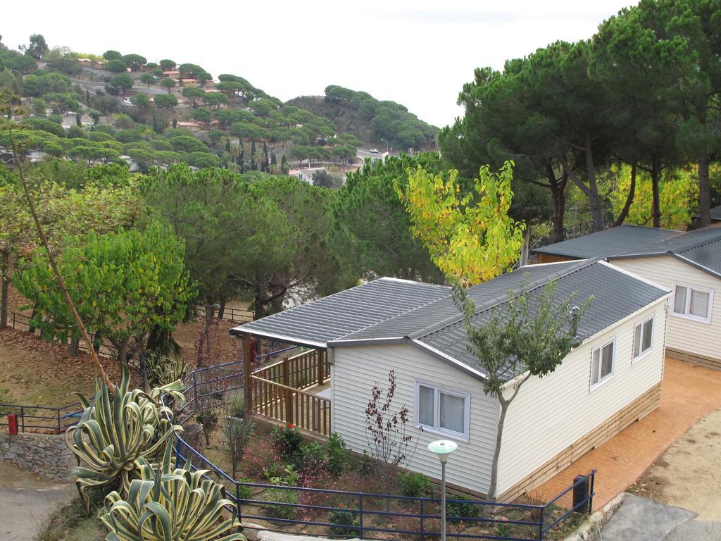 Camping Roca Grossa Calella Buitenkant foto
