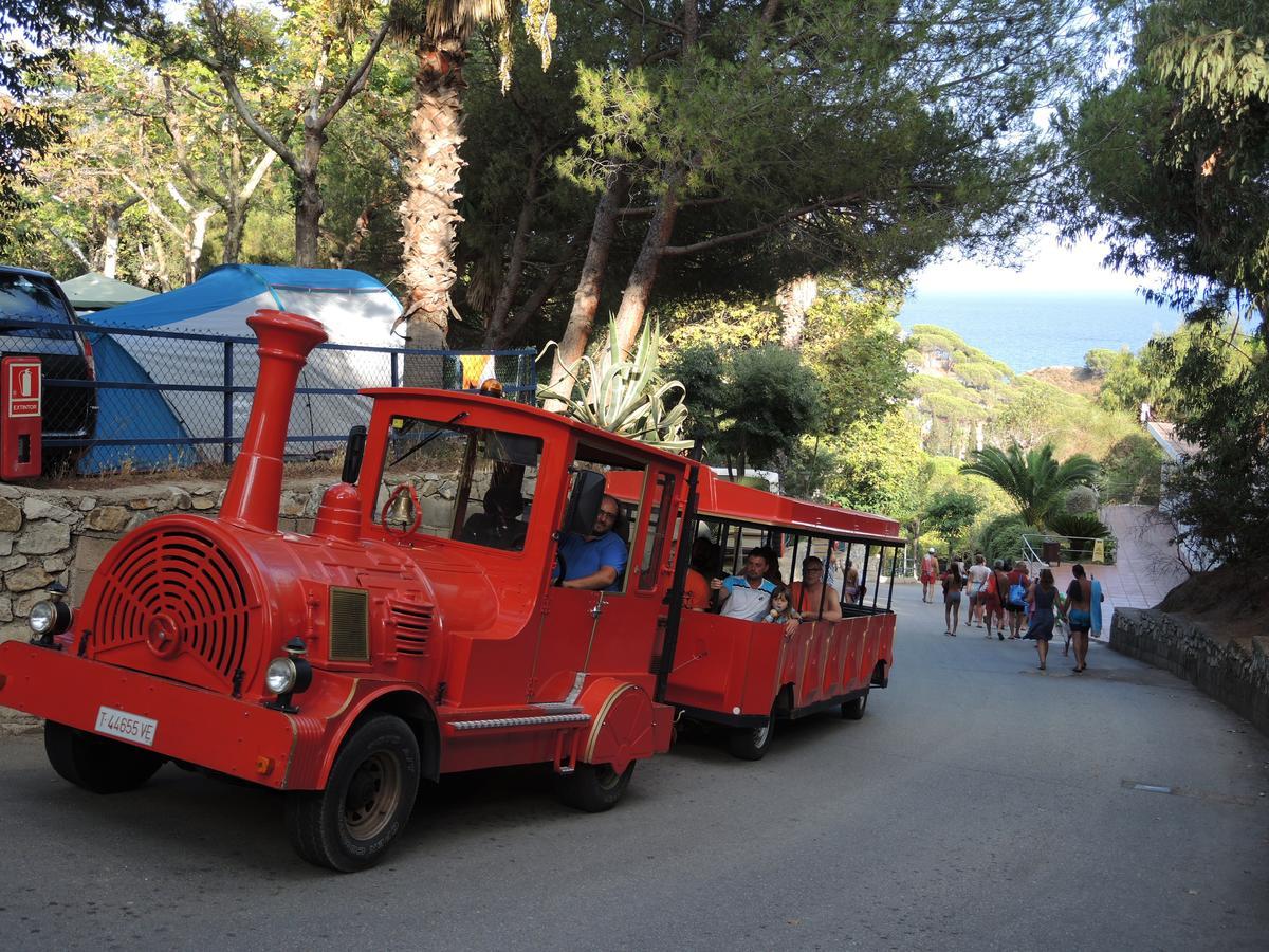 Camping Roca Grossa Calella Buitenkant foto